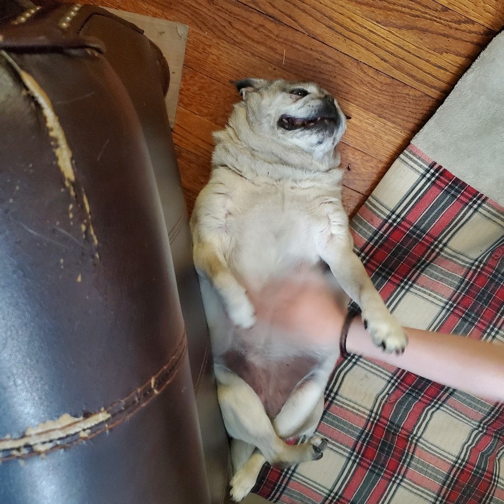 Meet your Posher, Posh